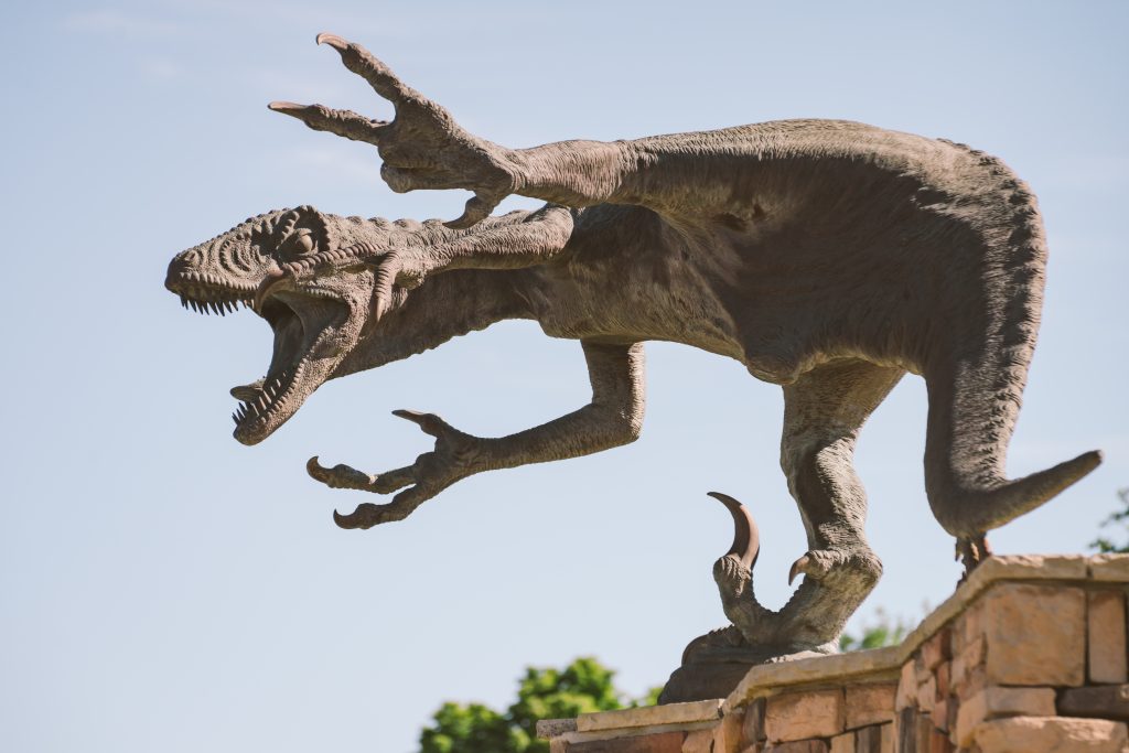 Utah Raptor